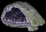 Amethyst Crystal Geode #37721-2
